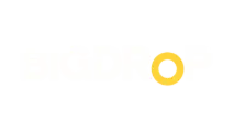 Bigdrop Website